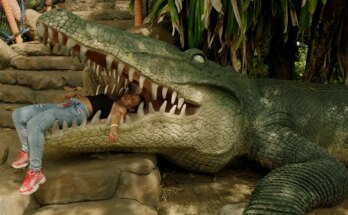 Venice 2026: A trailer for “Meteorite” shows women in an amusement park

 Movies Counter